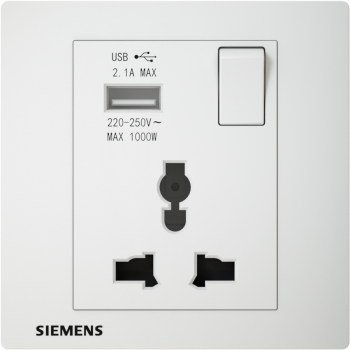 Ổ cắm đơn đa năng 13A quốc tế kèm USB và công tắc 5UB13883PC01