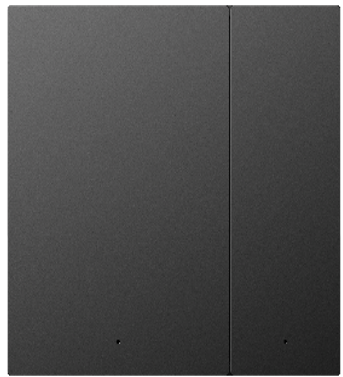 ZB A10 Series 2-Gang 2-Button Switch Panel (Brushed Gray Metal Panel)