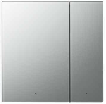 ZB G10 Series 2-Gang 2-Button Switch Panel